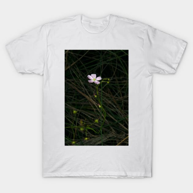 Delicate Sundew T-Shirt by GP1746